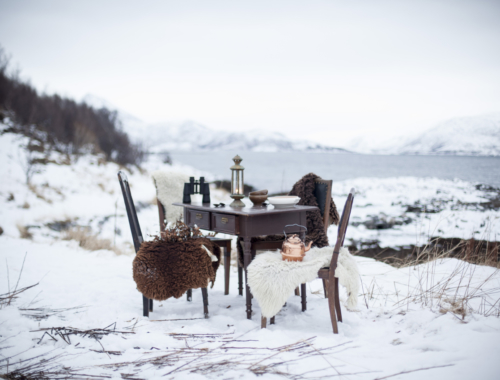 Nordic Spring - A silent awakening in Northern Norway | The Freaky Table by Zaira Zarotti